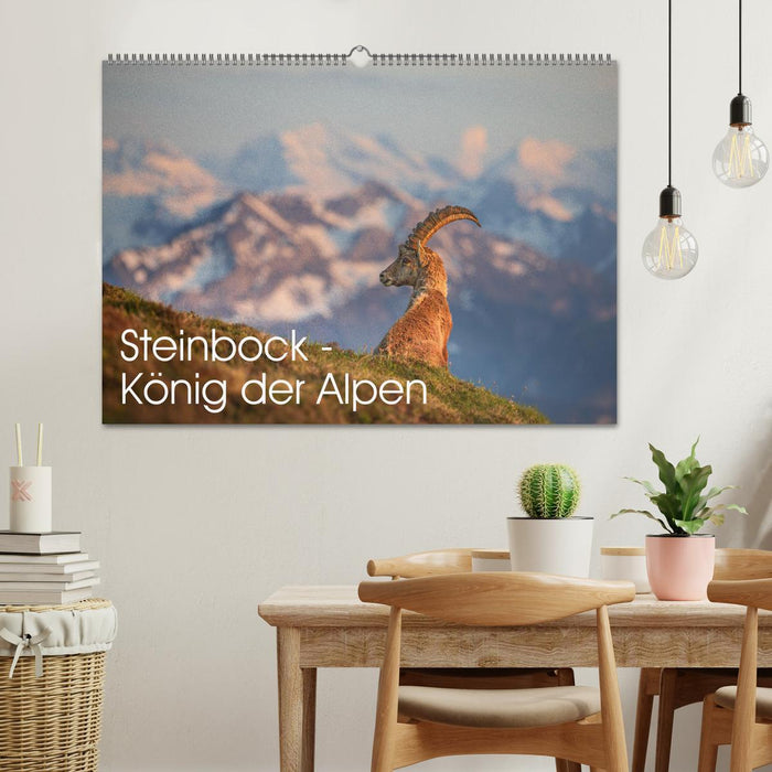 Steinbock - König der Alpen (CALVENDO Wandkalender 2027)