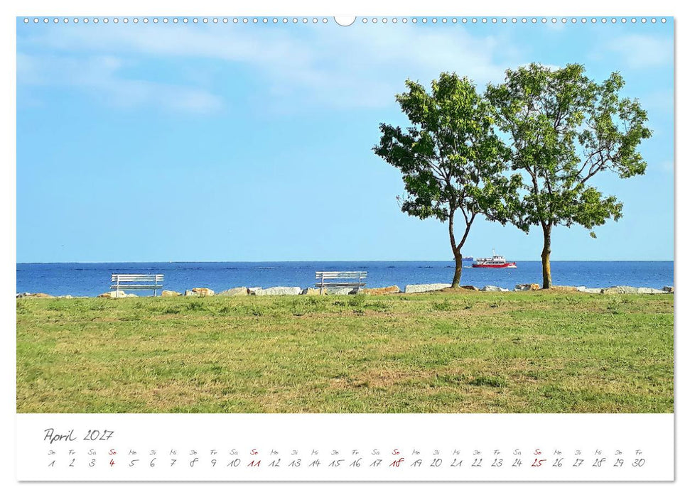 Mein Sassnitz - Hafenstadt und Erholungsort an der Kreideküste von Rügen (CALVENDO Premium Wandkalender 2027)