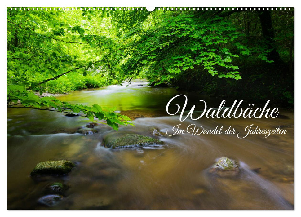 Waldbäche - Im Wandel der Jahreszeiten (CALVENDO Wandkalender 2027)