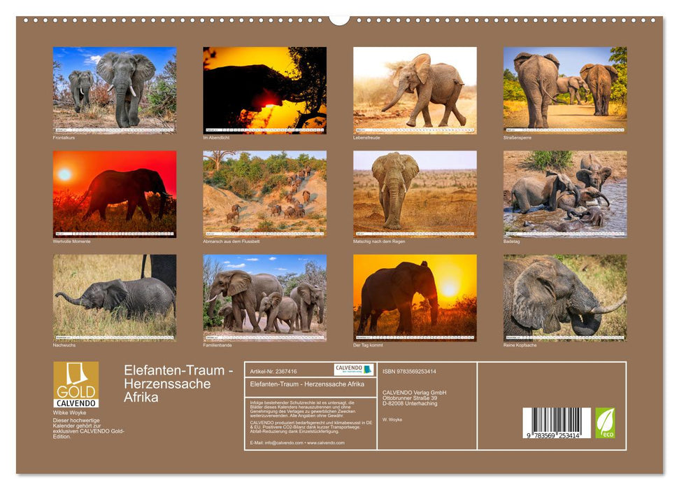 Elefanten-Traum - Herzenssache Afrika (CALVENDO Premium Wandkalender 2027)