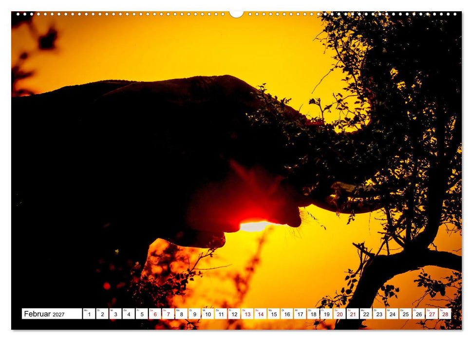 Elefanten-Traum - Herzenssache Afrika (CALVENDO Premium Wandkalender 2027)