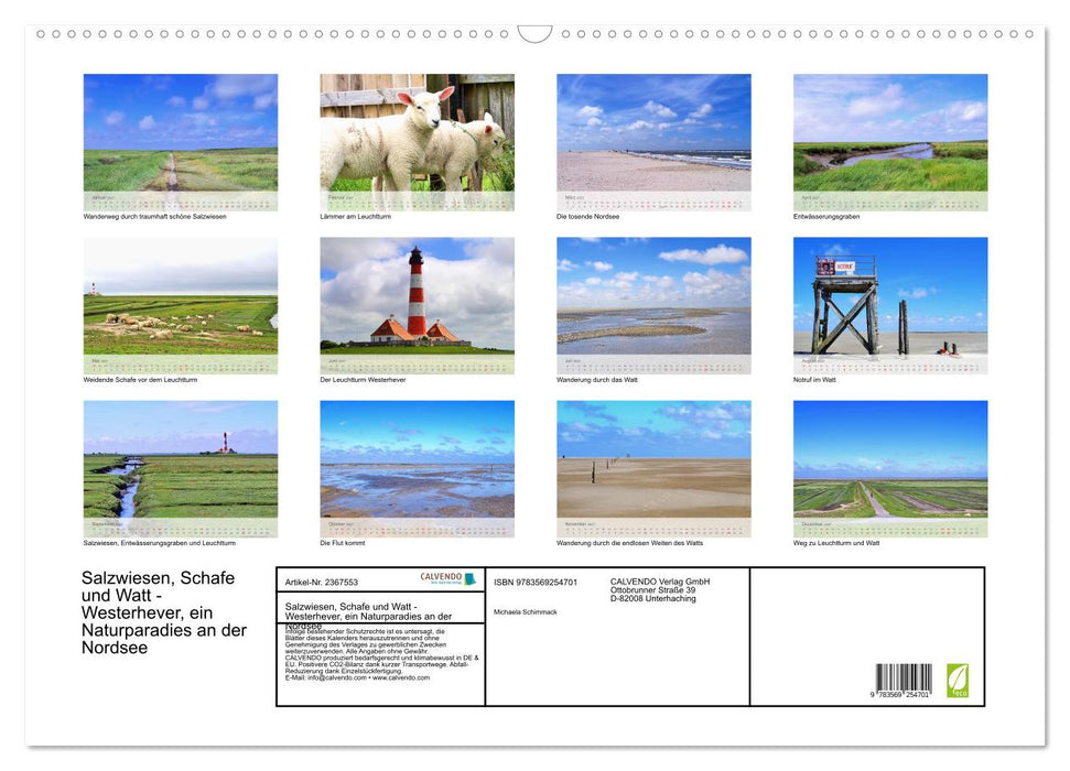 Salzwiesen, Schafe und Watt - Westerhever, ein Naturparadies an der Nordsee (CALVENDO Wandkalender 2027)