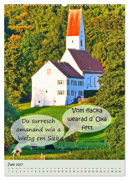 Schwäbische Sprichwörter - so gsaid (CALVENDO Wandkalender 2027)