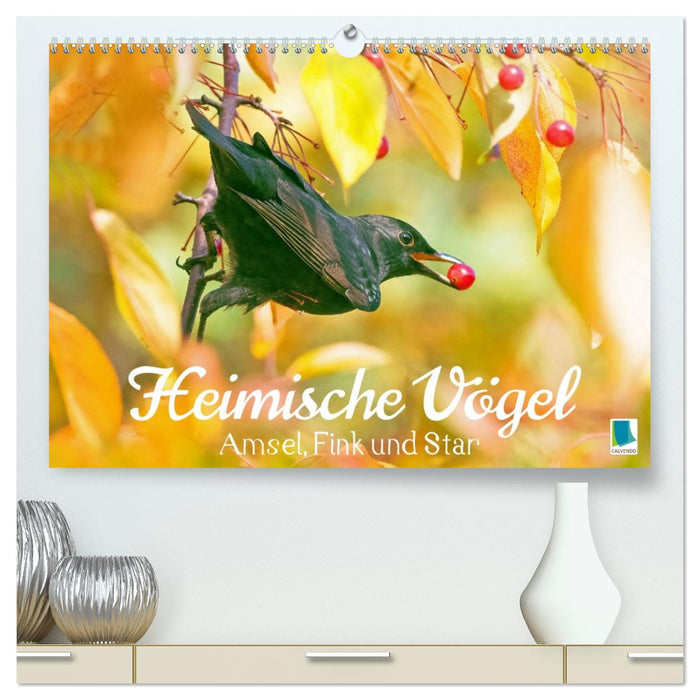Amsel, Fink und Star: Heimische Vögel (CALVENDO Premium Wandkalender 2027)