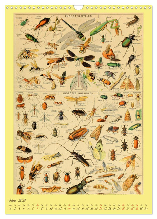 Prächtige Naturtafeln (CALVENDO Wandkalender 2027)