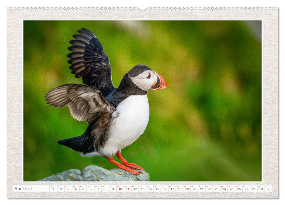 Die kleinen schönen (CALVENDO Premium Wandkalender 2027)