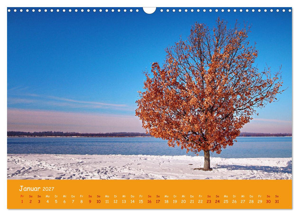 Mein Cospudener See (CALVENDO Wandkalender 2027)