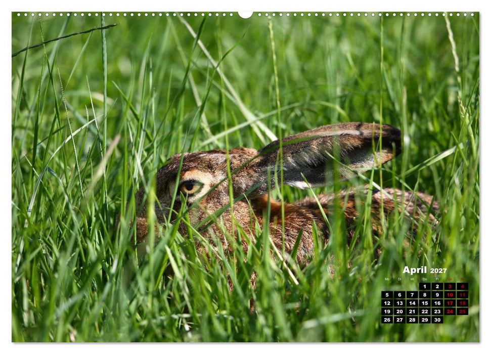 Wildes Bochum (CALVENDO Wandkalender 2027)