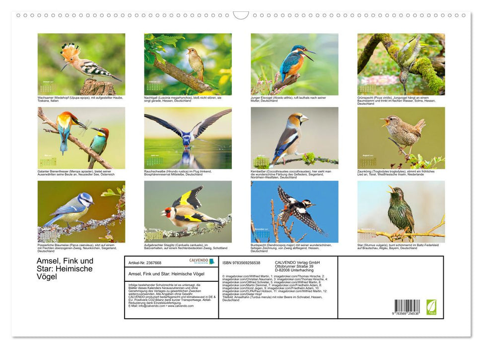 Amsel, Fink und Star: Heimische Vögel (CALVENDO Wandkalender 2027)