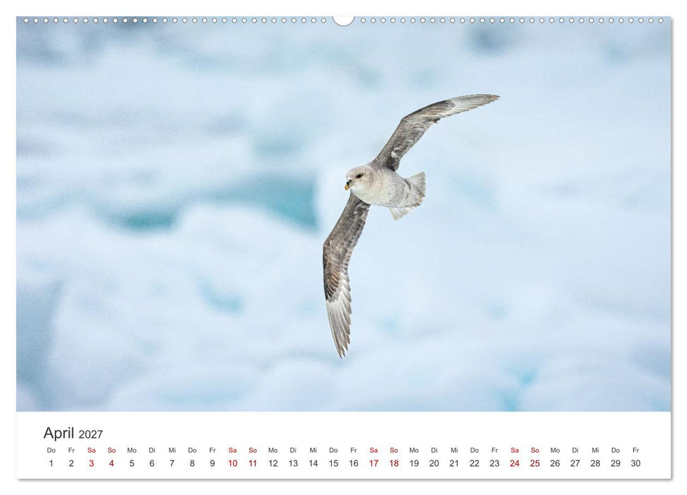 Naturparadies Svalbard (CALVENDO Wandkalender 2027)
