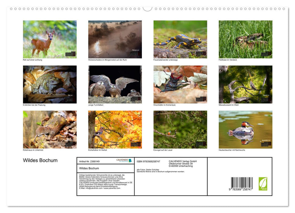 Wildes Bochum (CALVENDO Premium Wandkalender 2027)