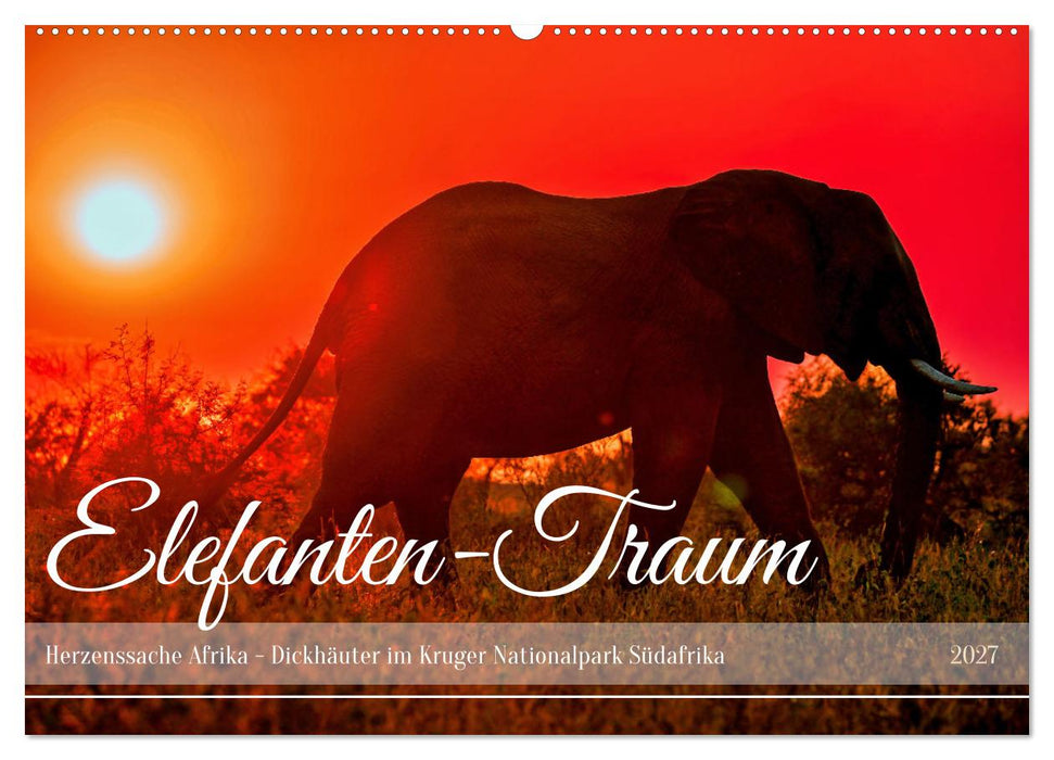 Elefanten-Traum - Herzenssache Afrika (CALVENDO Wandkalender 2027)