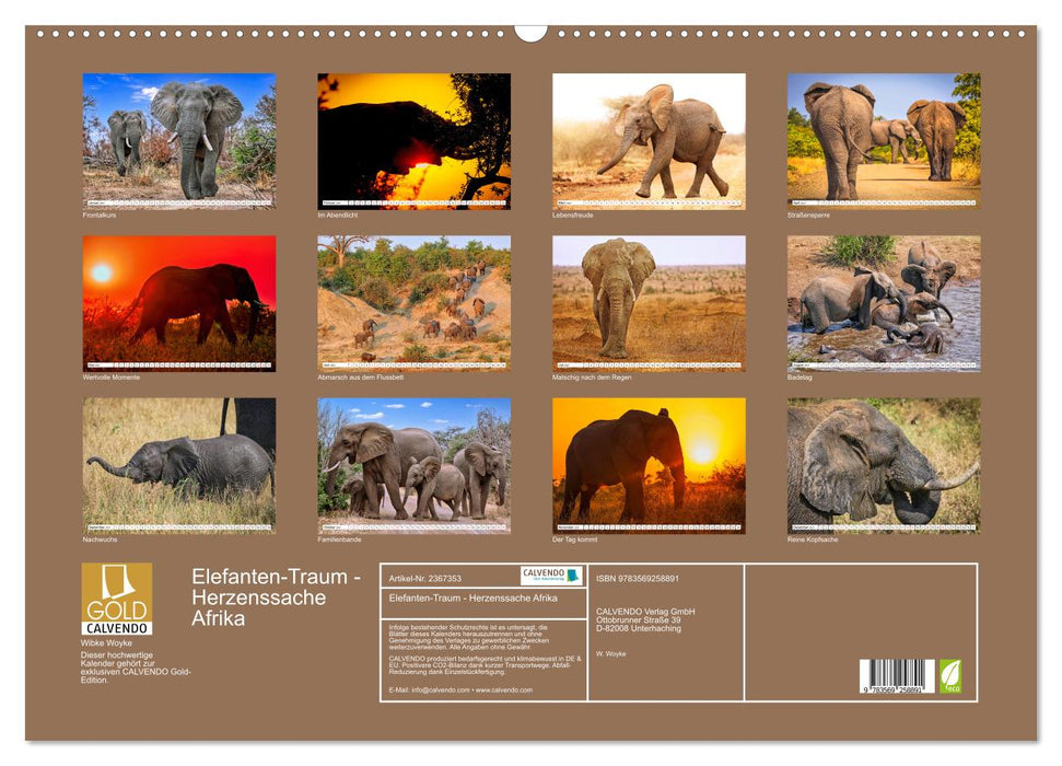 Elefanten-Traum - Herzenssache Afrika (CALVENDO Wandkalender 2027)