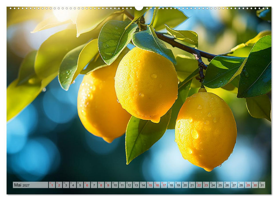 Sauer Gelb Lecker (CALVENDO Premium Wandkalender 2027)