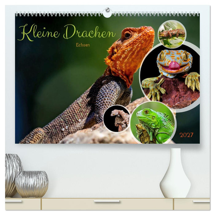 Kleine Drachen - Echsen (CALVENDO Premium Wandkalender 2027)