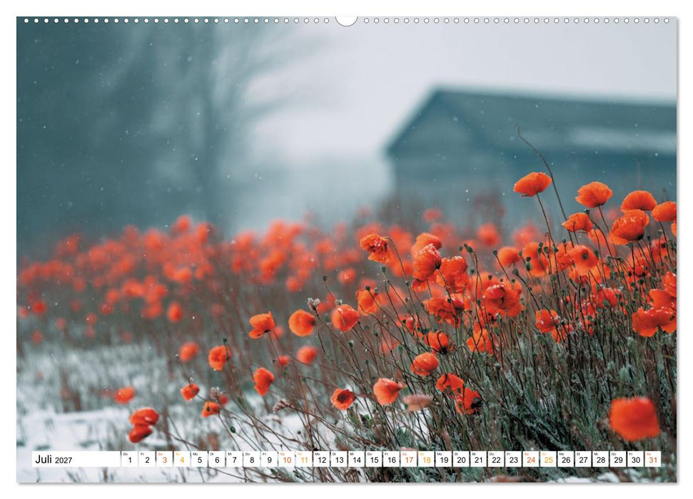 Mohn im Atem des Winters (CALVENDO Premium Wandkalender 2027)