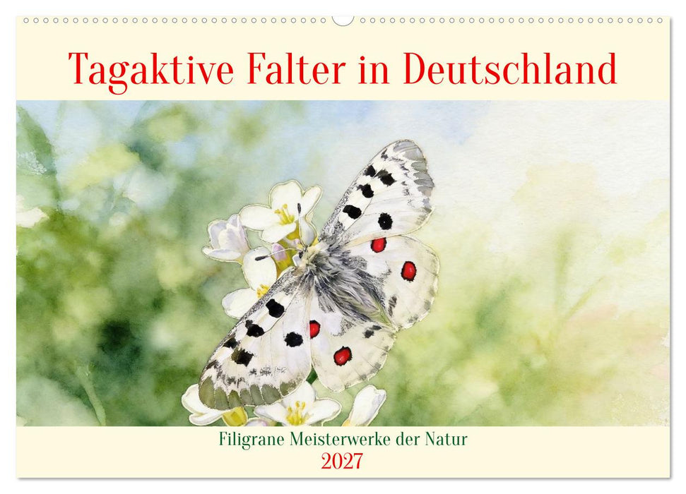 Tagaktive Falter in Deutschland (CALVENDO Wandkalender 2027)