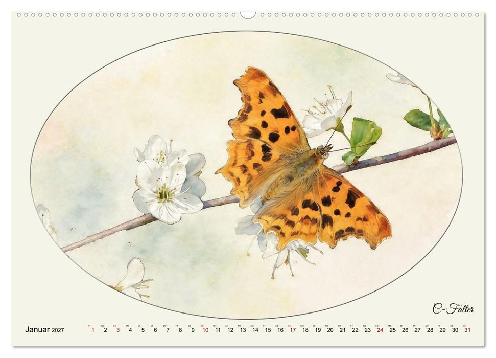 Tagaktive Falter in Deutschland (CALVENDO Wandkalender 2027)