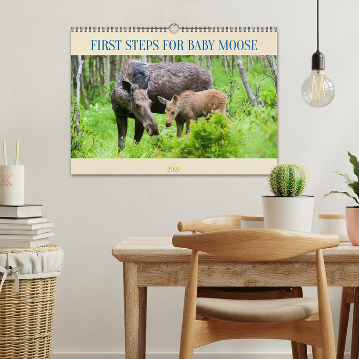 FIRST STEPS FOR BABY MOOSE (CALVENDO Monthly Calendar 2027)