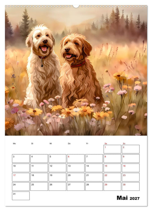 Aussiedoodle - Hunde zum Liebhaben (CALVENDO Premium Wandkalender 2027)