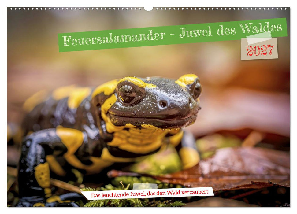 Feuersalamander – Juwel des Waldes (CALVENDO Wandkalender 2027)