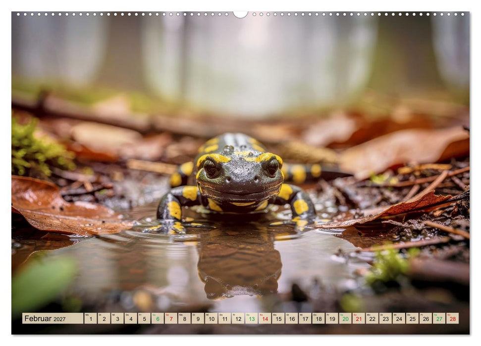 Feuersalamander – Juwel des Waldes (CALVENDO Wandkalender 2027)