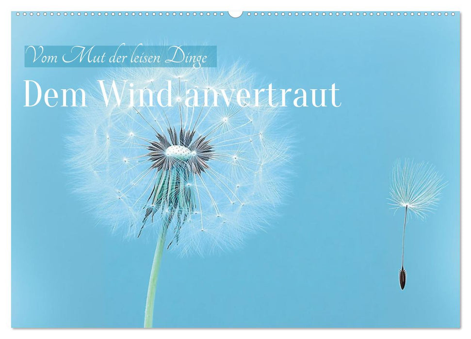 Dem Wind anvertraut (CALVENDO Wandkalender 2027)