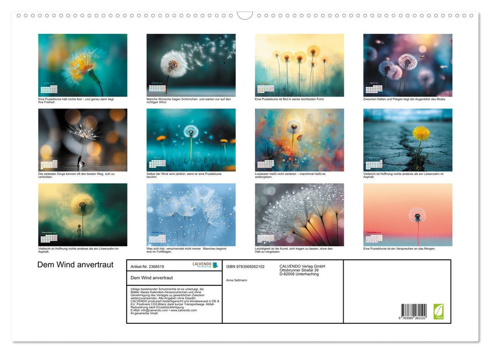 Dem Wind anvertraut (CALVENDO Wandkalender 2027)