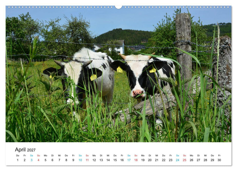 Lebenswertes Dedenborn (CALVENDO Premium Wandkalender 2027)