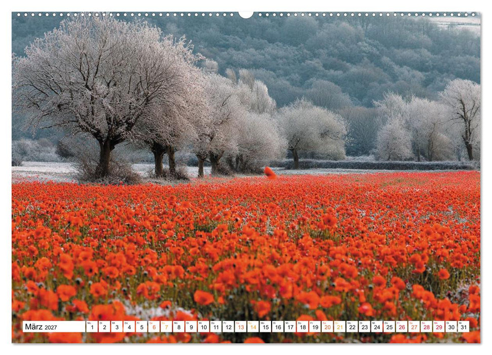 Mohn im Atem des Winters (CALVENDO Wandkalender 2027)