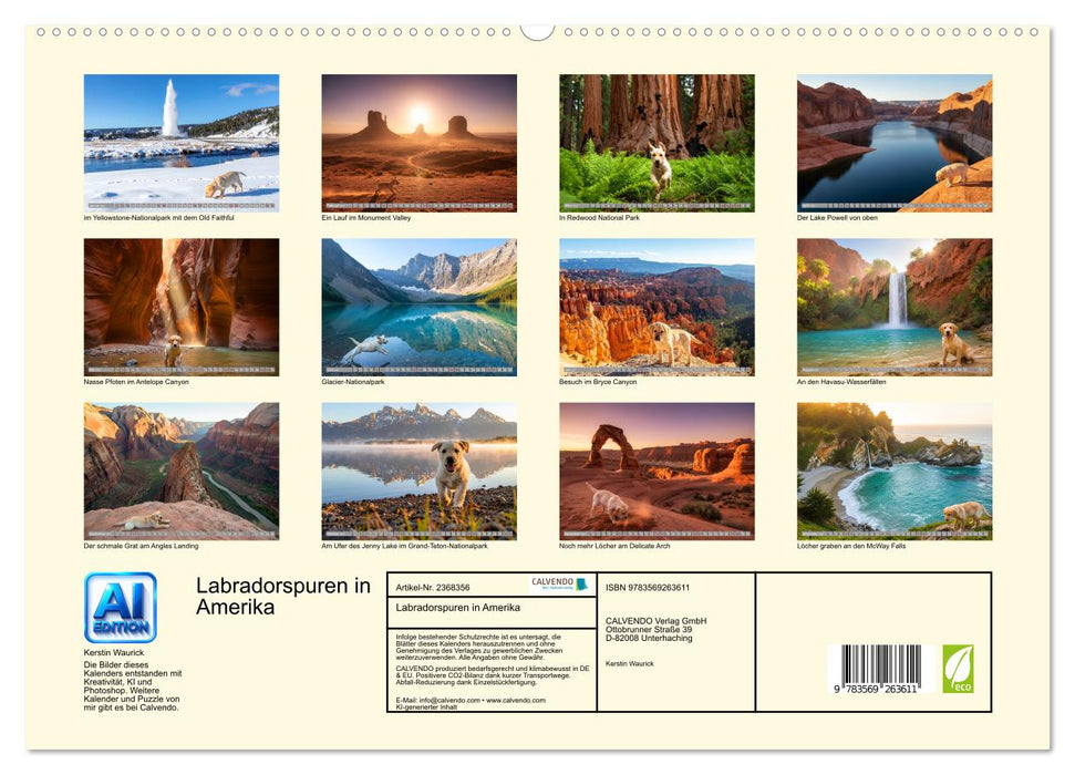 Labradorspuren in Amerika (CALVENDO Premium Wandkalender 2027)