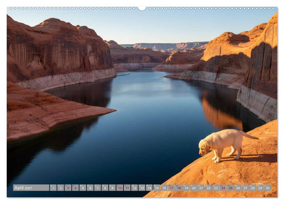 Labradorspuren in Amerika (CALVENDO Premium Wandkalender 2027)