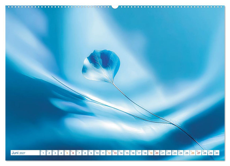 Die Ruhe hat eine Farbe: BLAU (CALVENDO Premium Wandkalender 2027)
