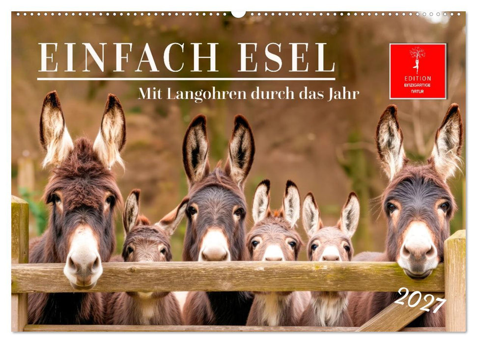 Einfach Esel - Mit Langohren durch das Jahr (CALVENDO Wandkalender 2027)