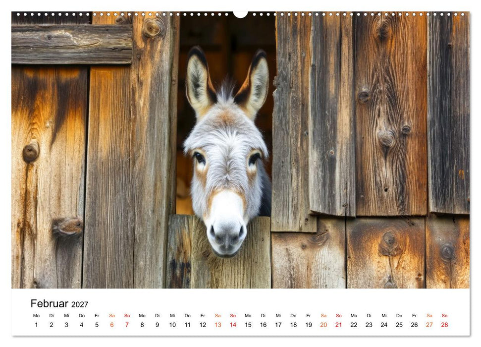 Einfach Esel - Mit Langohren durch das Jahr (CALVENDO Wandkalender 2027)