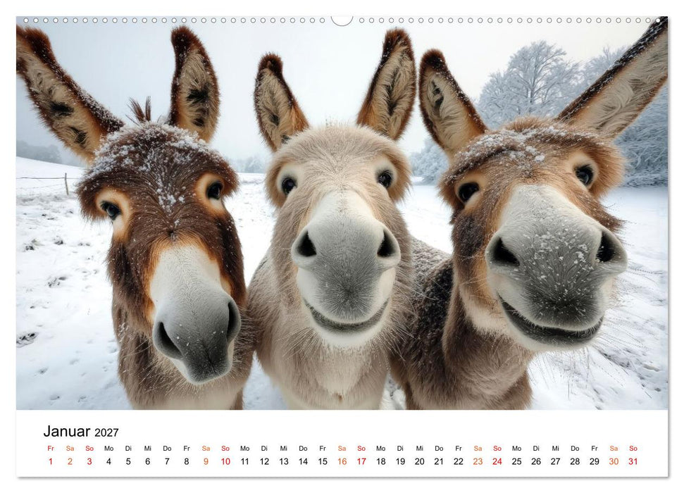 Einfach Esel - Mit Langohren durch das Jahr (CALVENDO Premium Wandkalender 2027)