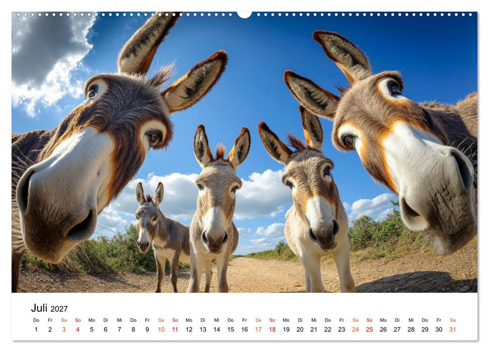 Einfach Esel - Mit Langohren durch das Jahr (CALVENDO Premium Wandkalender 2027)