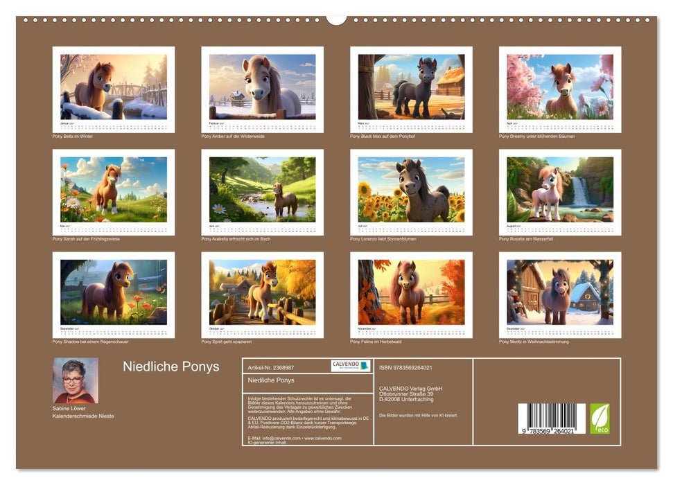 Niedliche Ponys (CALVENDO Premium Wandkalender 2027)