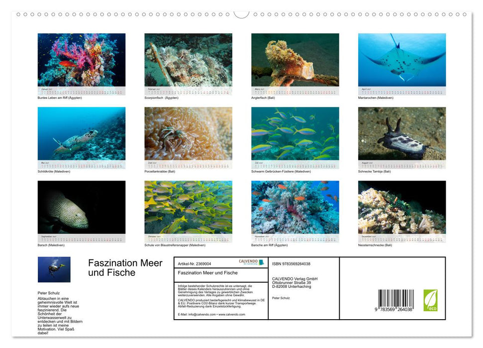Faszination Meer und Fische (CALVENDO Premium Wandkalender 2027)