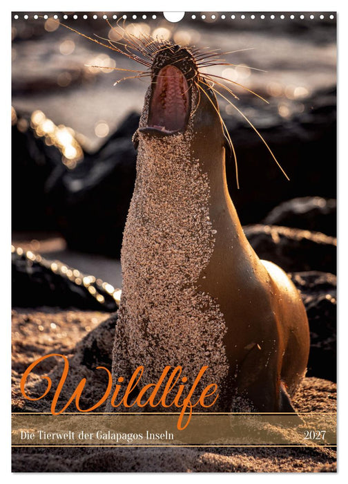 Wildlife - Die Tierwelt der Galapagos Inseln (CALVENDO Wandkalender 2027)