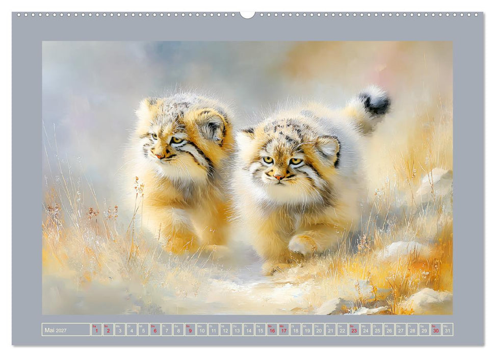 Manuls. Grimmige Flauschkugeln (CALVENDO Wandkalender 2027)