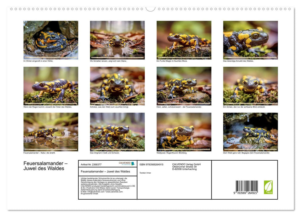 Feuersalamander – Juwel des Waldes (CALVENDO Premium Wandkalender 2027)