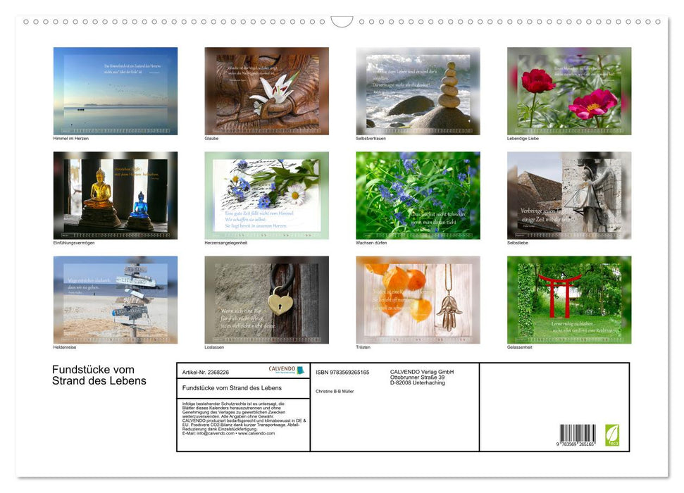 Fundstücke vom Strand des Lebens (CALVENDO Wandkalender 2027)
