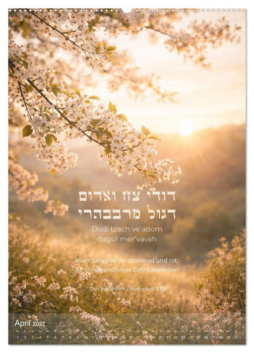 Licht des Lebens, Or Chajim (CALVENDO Premium Wandkalender 2027)