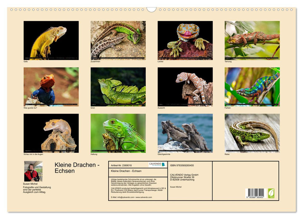 Kleine Drachen - Echsen (CALVENDO Wandkalender 2027)