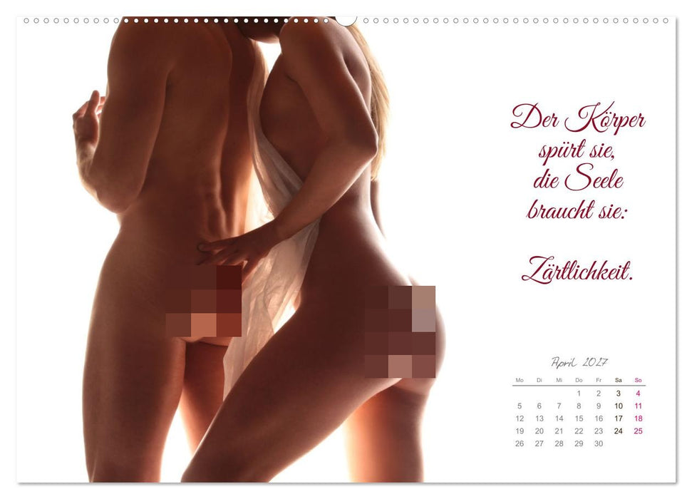 Gelebte Erotik für Paare (CALVENDO Premium Wandkalender 2027)