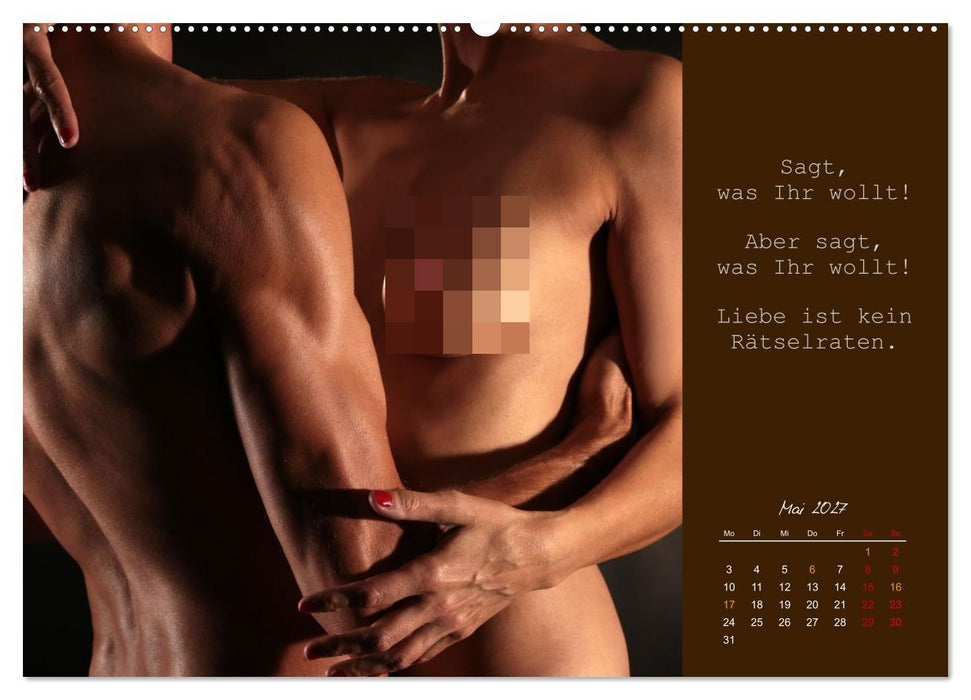 Gelebte Erotik für Paare (CALVENDO Premium Wandkalender 2027)