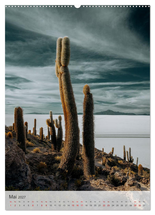 Magische Naturmomente (CALVENDO Wandkalender 2027)