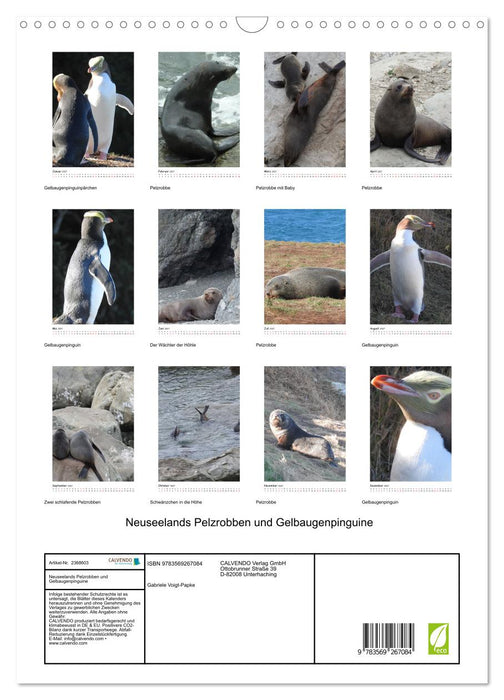 Neuseelands Pelzrobben und Gelbaugenpinguine (CALVENDO Wandkalender 2027)