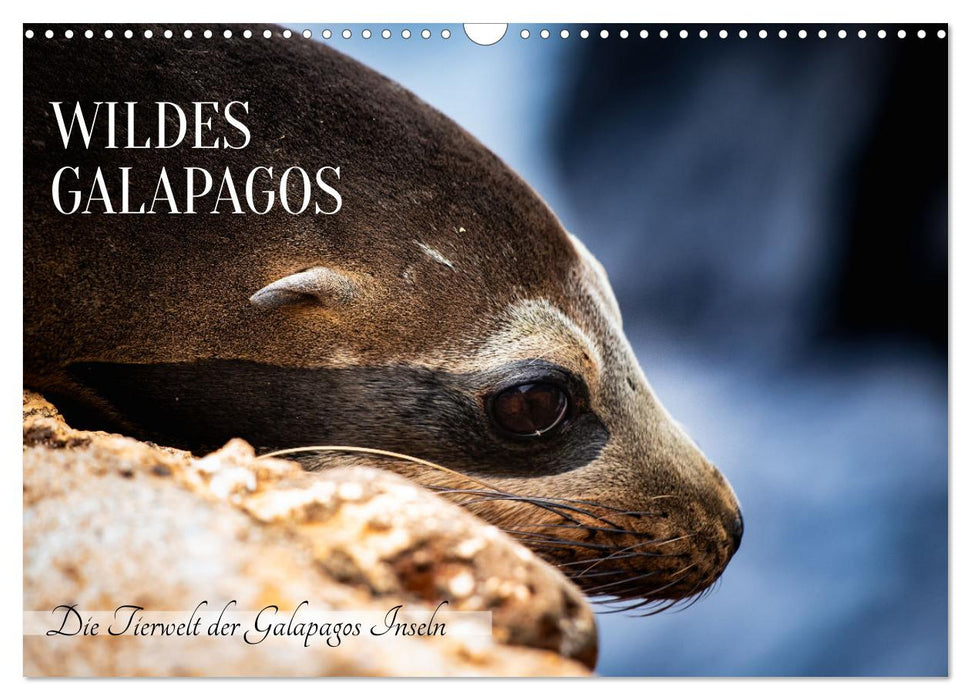 Wildes Galapagos - Die Tiere der Galapagos Inseln (CALVENDO Wandkalender 2027)